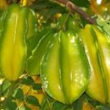 Lê Thị Thúy Hằng