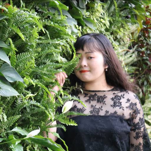 Triệu Hân