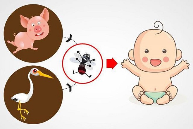 Viêm não Nhật Bản