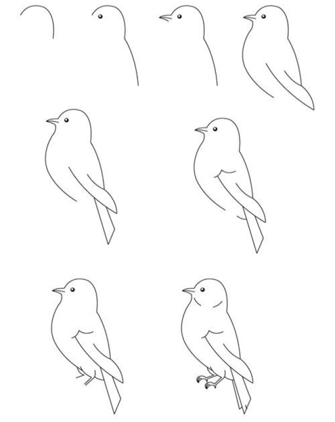 Cập nhật 71 về chim bay hình vẽ hay nhất  coedocomvn