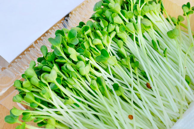 Top 9 loại rau salad trộn được mệnh danh là “siêu thực phẩm” luôn được ...