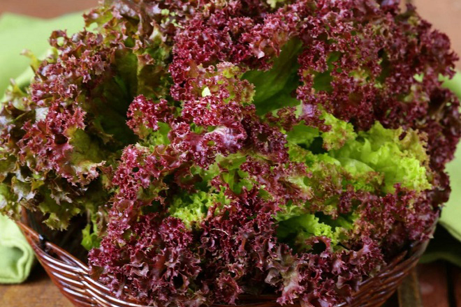 Top 9 loại rau salad trộn được mệnh danh là “siêu thực phẩm” luôn được ...