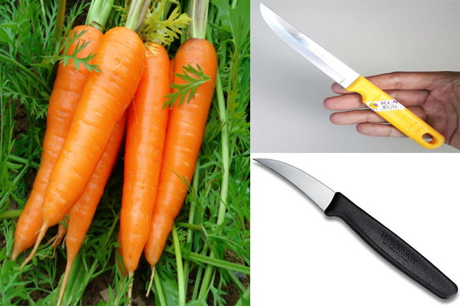 Một số nguyên liệu và dụng cụ cần chuẩn bị để tỉa hoa cà rốt